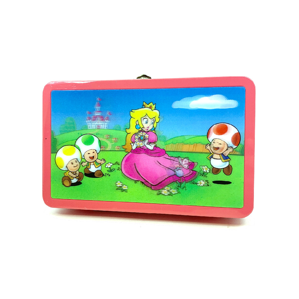 Find It 3D Tin Pencil Box Princess Peach