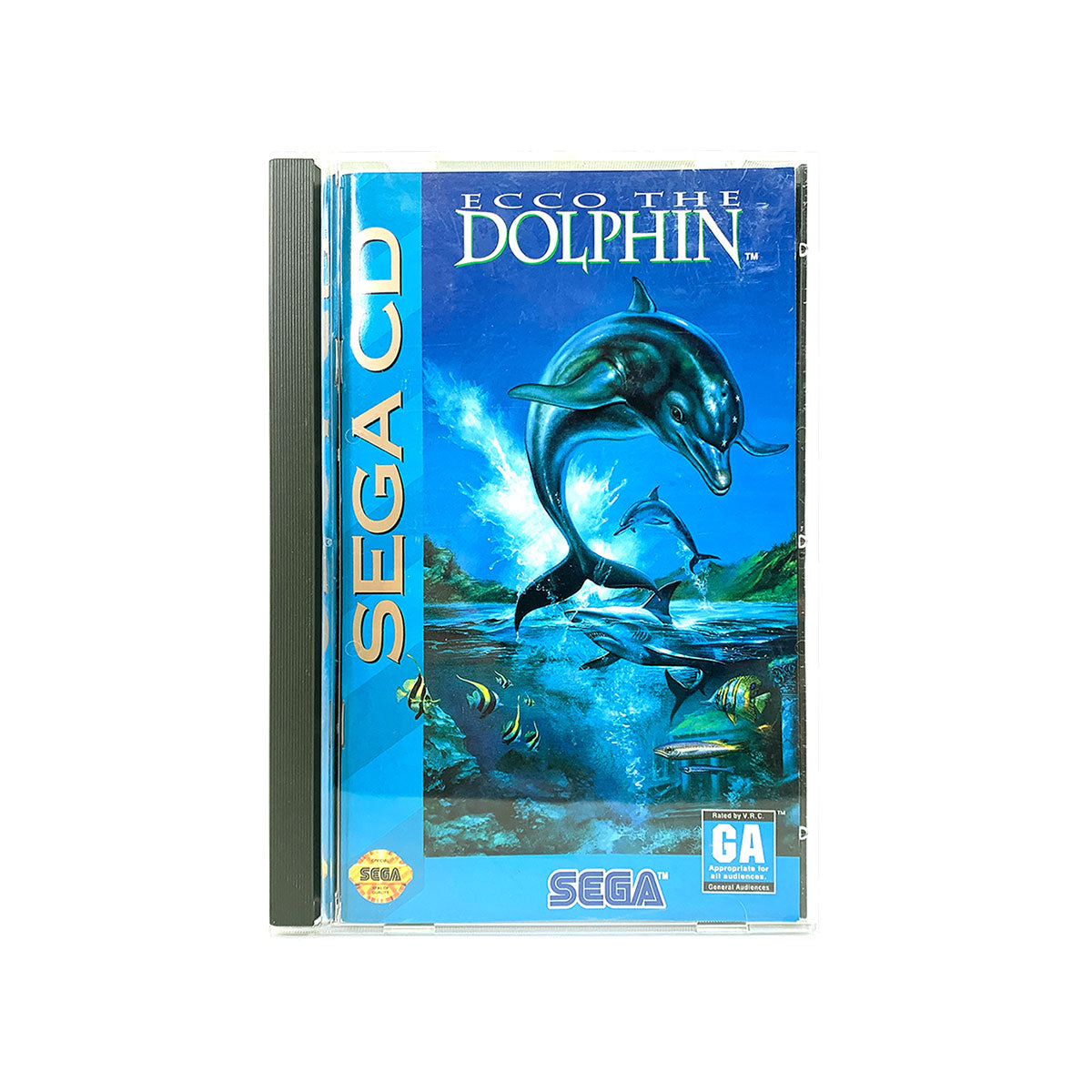 Ecco the Dolphin