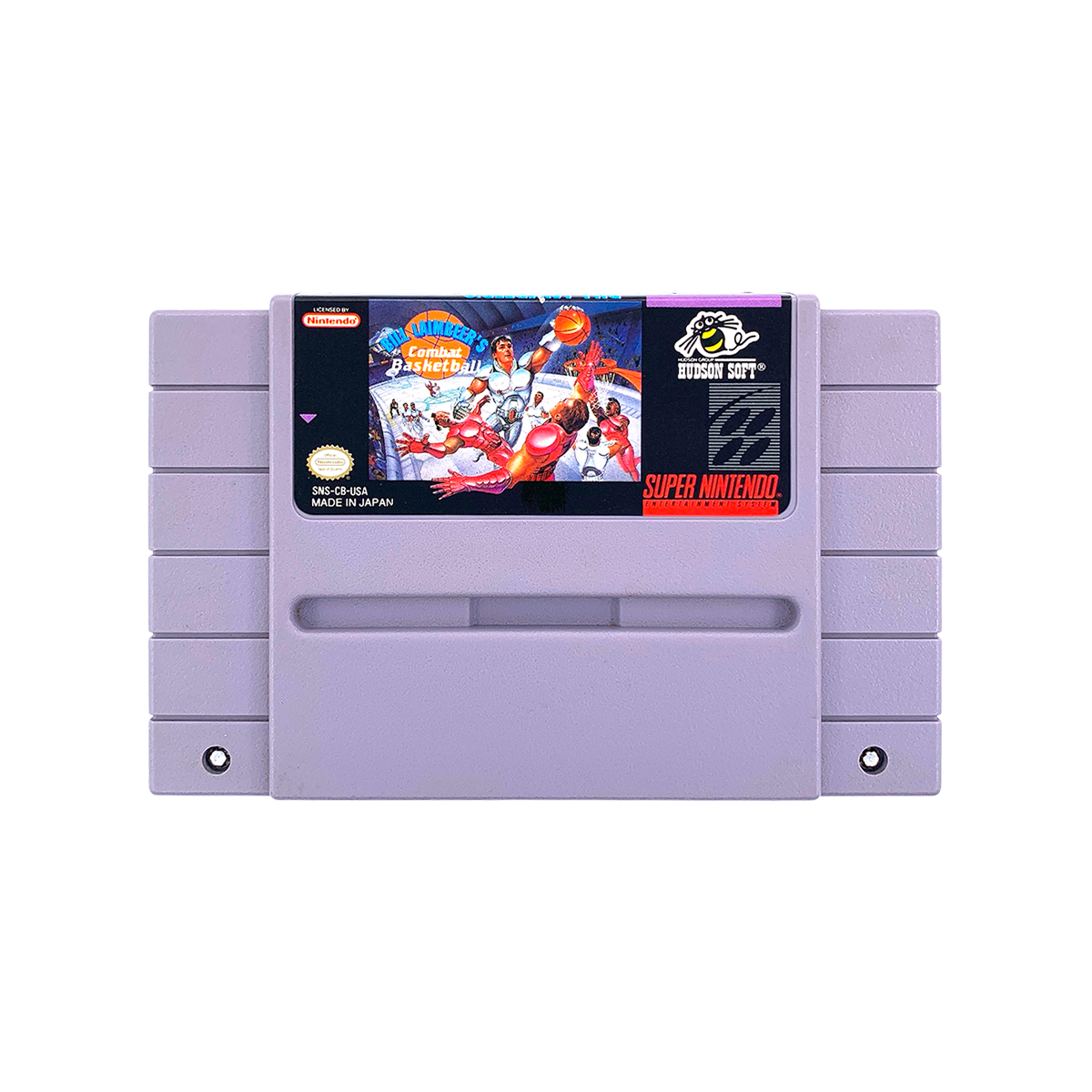 Bill Laimbeer's Combat Basketball