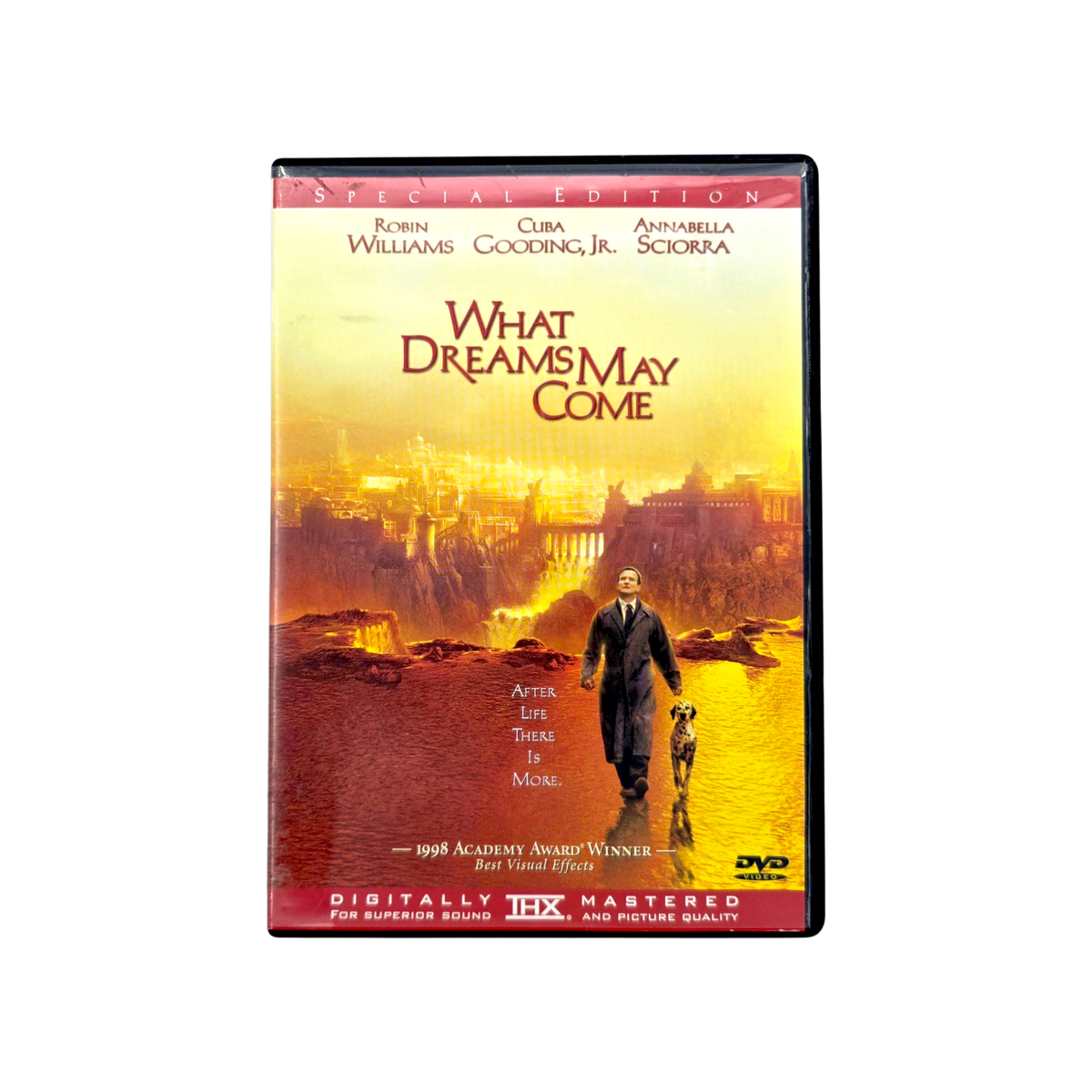 What Dreams May Come (Widescreen Collector's Edition) DVD