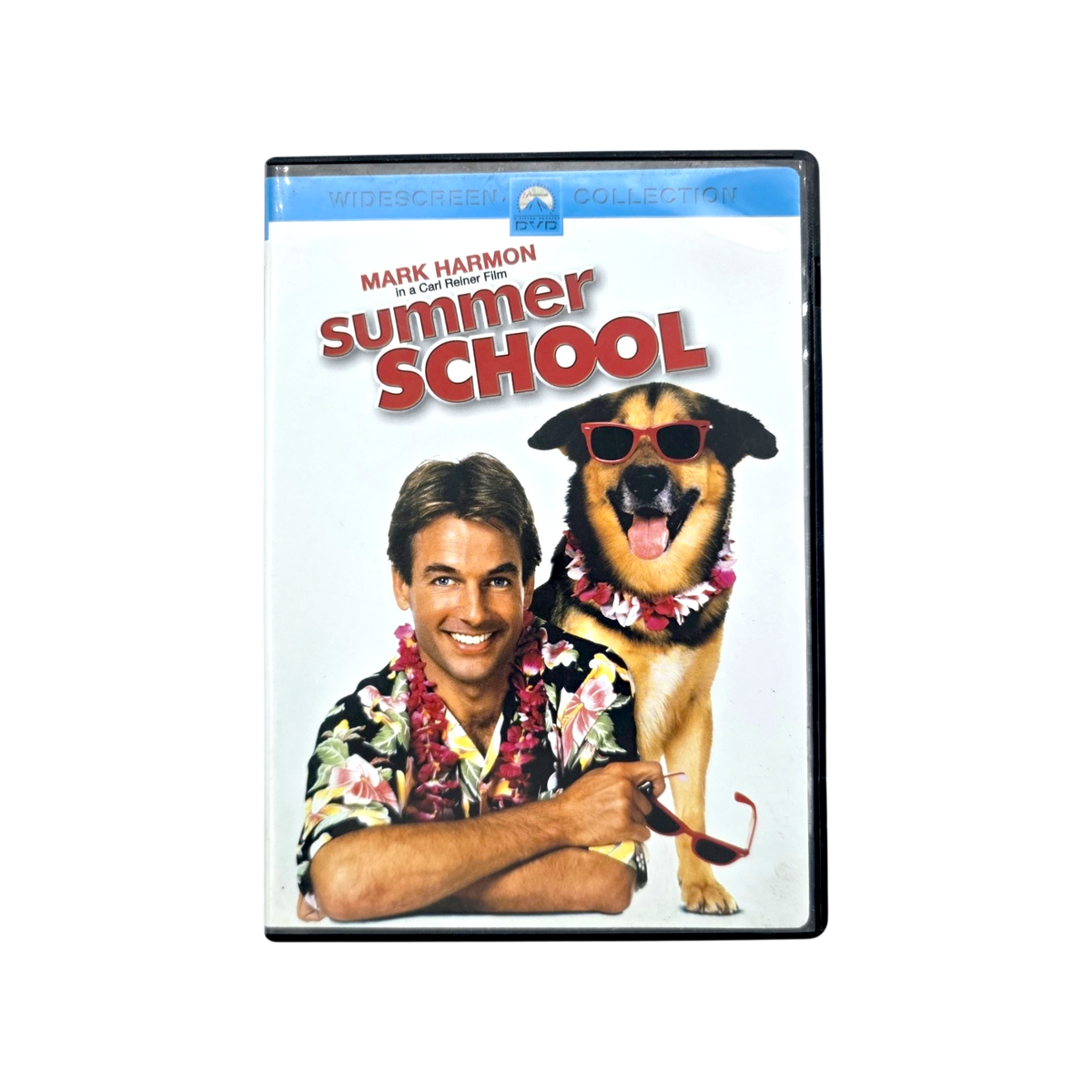 Summer School (Widescreen) DVD
