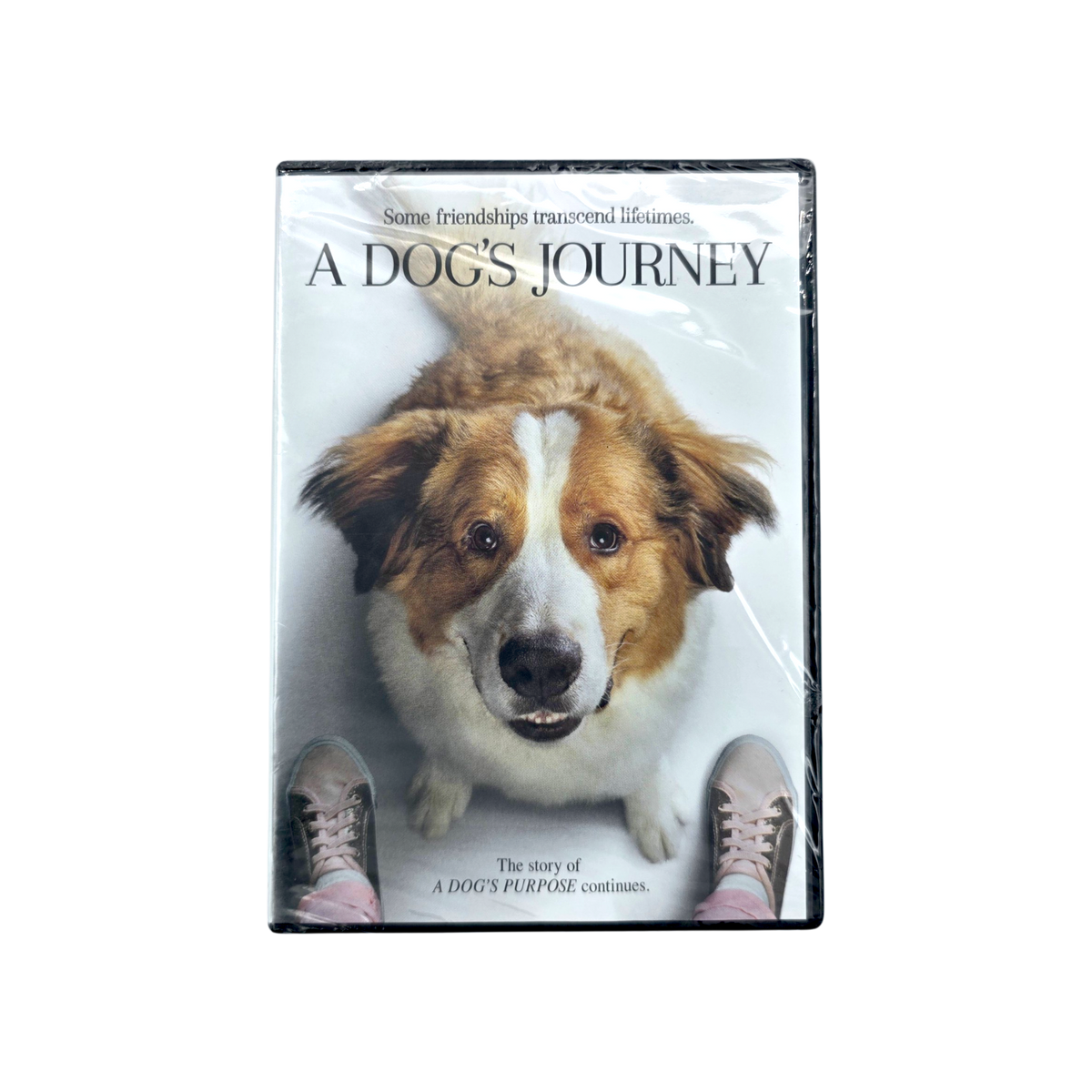 A Dog's Journey DVD