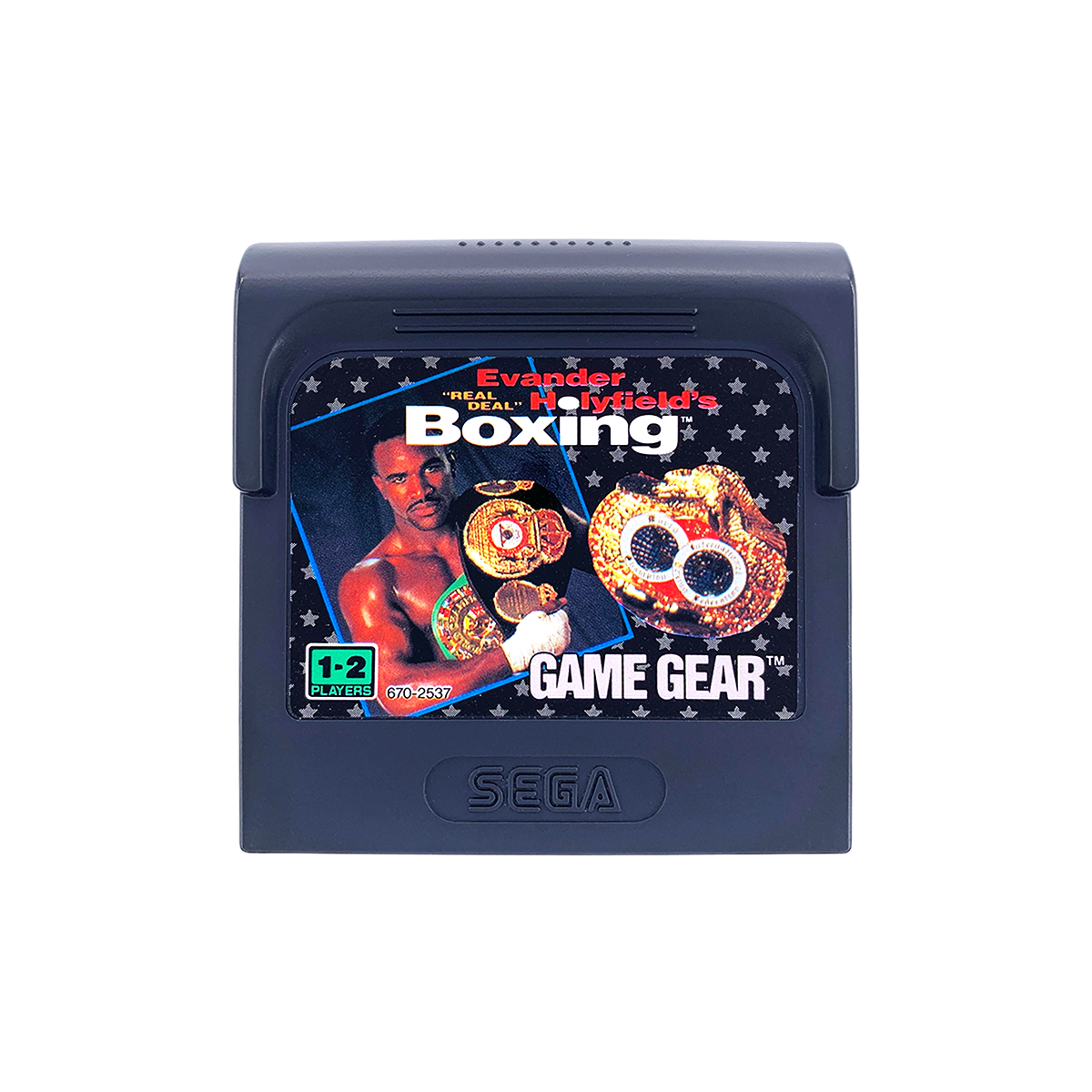 Evander Holyfield's Real Deal Boxing